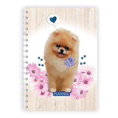 Agenda Planner Perm. Espiral Pet Redoma 384 Fls