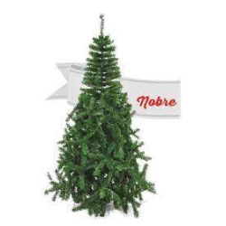 Arvore Natal Nobre AB 180cm Verde Só Natal