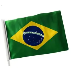 Bandeira do Brasil de Tecido 20X28cm - Mares
