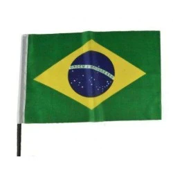 Bandeira do Brasil 41x58cm - LCC