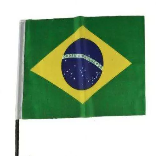 Bandeira do Brasil 41x58cm - LCC