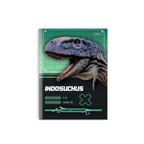 Caderno Brochurão Planeta Dinossauro 80 Folhas  Cadersil