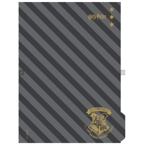 Caderno Espiral Harry Potter 96 Folhas - Jandaia Caderno Espiral Harry Potter 96 Folhas - Jandaia