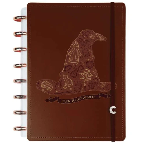 Caderno Inteligente Harry Potter 80 Folhas - Jandaia