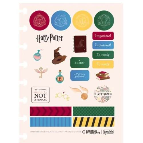 Caderno Inteligente Harry Potter 80 Folhas - Jandaia