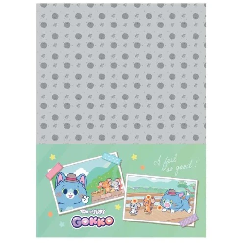 Caderno Univ. Cd 1M Gokko 80 Folhas - Jandaia