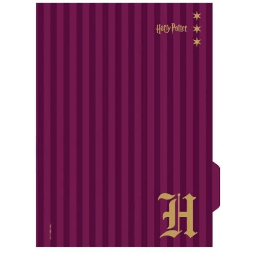 Caderno Univ. Colleg Harry Potter 80 Folhas - Jandaia
