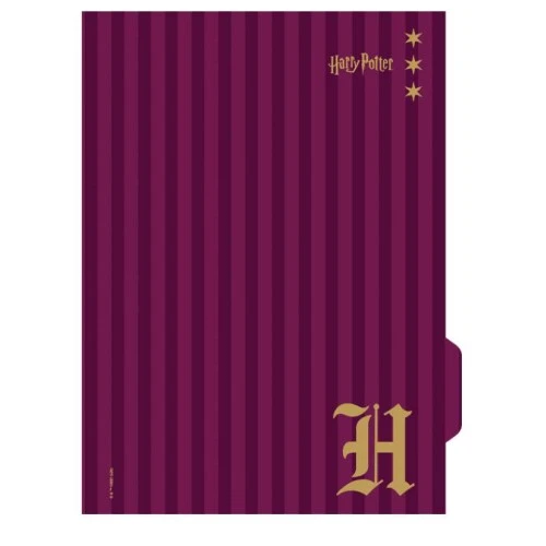 Caderno Univ. Harry Potter 1M 80 Folhas - Jandaia