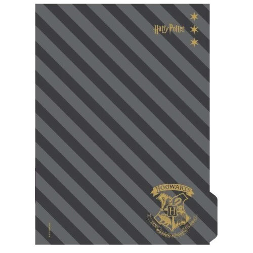 Caderno Univ. Harry Potter 1M 80 Folhas - Jandaia
