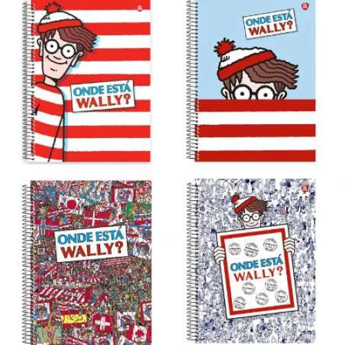 Caderno Universitario 1 Materias Aline Barros - Sd