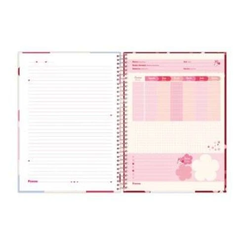 Caderno Universitário 1 matéria Minnie Mouse 80 Folhas - Foroni