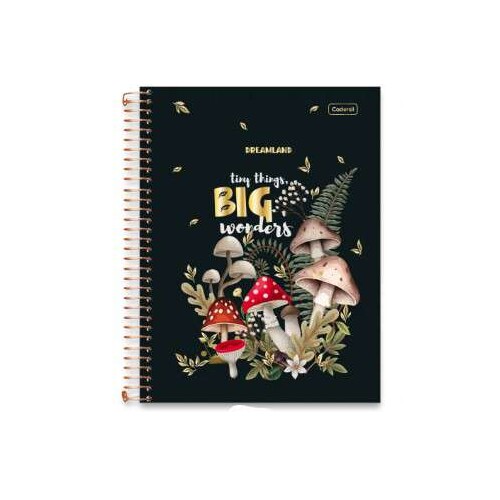 Caderno Universitário 11 Day Dream 80 Folhas - Cadersil