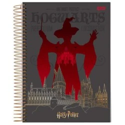 Caderno Universitário 15 matérias Harry Potter 300 Folhas - Jandaia
