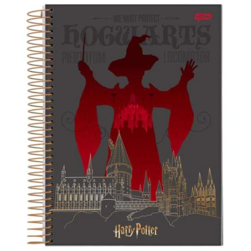 Caderno Universitário 15 matérias Harry Potter 300 Folhas - Jandaia Caderno Universitário 15 matérias Harry Potter 300 Folhas - Jandaia