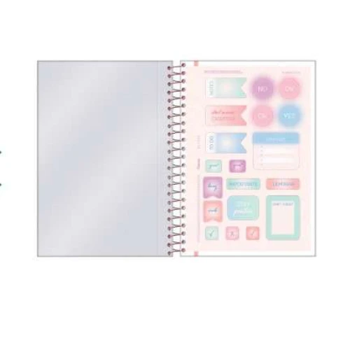 Caderno Universitário Blush 11 80 Folhas - Foroni