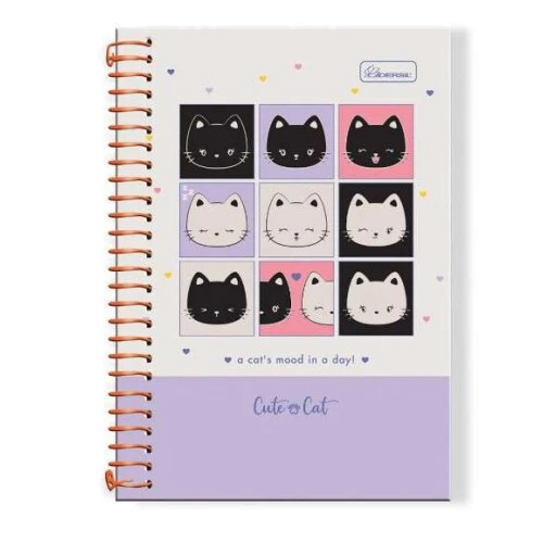 Caderno Universitário Colleg Cute Cat 1 matéria 80 Folhas  Cadersil