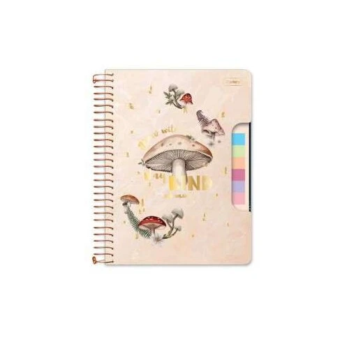 Caderno Universitário College DreamLand 1 Matéria 80 Folhas - Cadersil