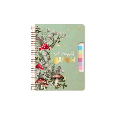 Caderno Universitário College DreamLand 1 Matéria 80 Folhas - Cadersil