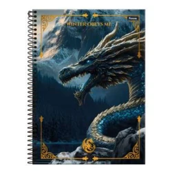 Caderno Universitário Drakos 11 Grande 80 Folhas - Foroni