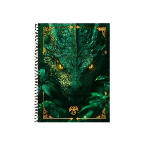 Caderno Universitário Drakos 1 Matéria Grande 80 Folhas - Foroni