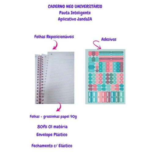 Caderno Universitário Inteligente 1 matéria 80 Folhas  Jandaia