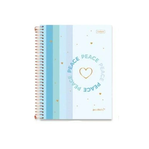 Caderno Universitário Positivity 15 matérias 240 Folhas  Foroni