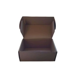 Caixa Papelão para Correio C25 x L14 x A10cm