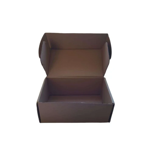 Caixa Papelão para Correio C25 x L14 x A10cm