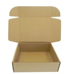 Caixa de Papelão para Correio Sedex C25 x L14 x A10cm