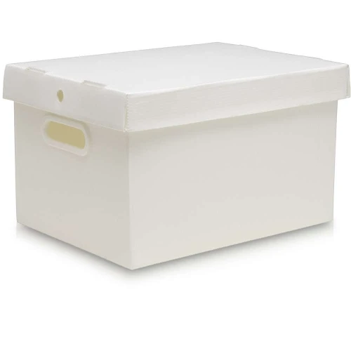 Caixa Plástica Organizadora POLYCART Grande Onça Caixa Plástica Organizadora POLYCART Grande Onça