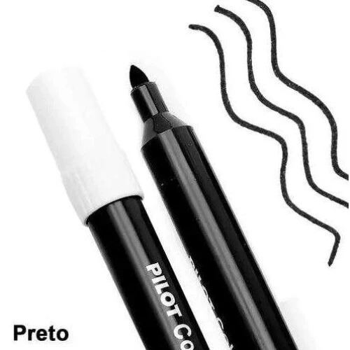 Caneta Pincel Hidrográfica Color 850 Preto Pilot