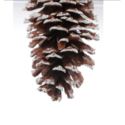 Enfeite de Natal Pinha Nevada 12cm Cromus