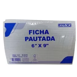 Pacote de Ficha Pautada 6x9 São Domingos