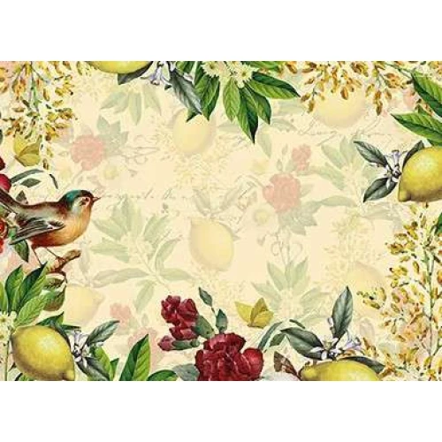 Papel Gaveta Verbena Com Limão Com 5 folhas - Animativa