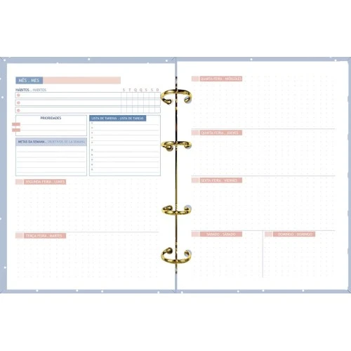 Planner Perm. Argolado Blush Foroni 96 Fls
