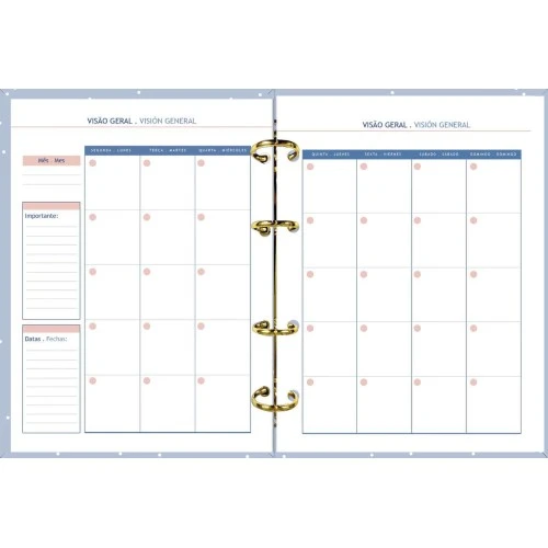 Planner Perm. Argolado Blush Foroni 96 Fls