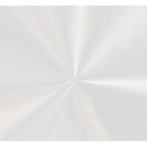 Saco Transparente Incolor 15x29  Cromus