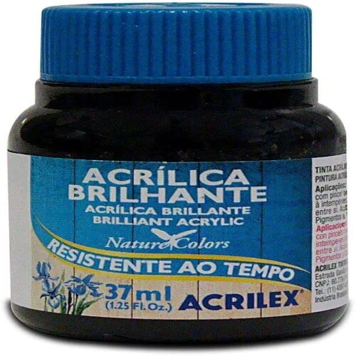 Tinta Acrílica Brilhante - Acrilex